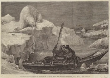 Amoureux lapons au large du Cap Nord